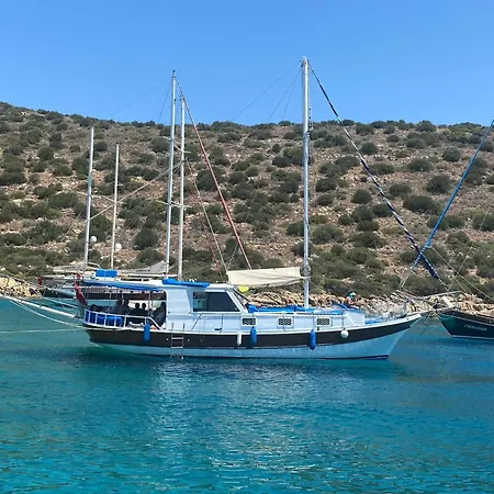 Tekne Private Boat Tours -daily -yacht Tours Bodrum