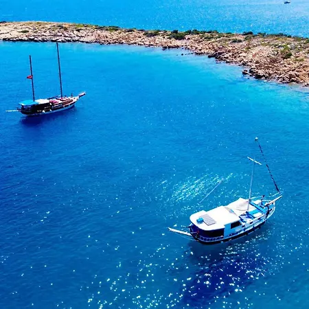 Private Boat Tours -daily -yacht Tours