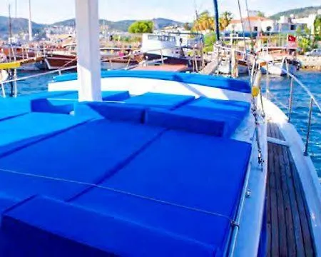 Private Boat Tours -daily -yacht Tours בודרום